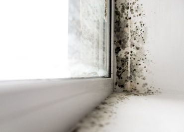 Cómo aislar una pared exterior de la humedad